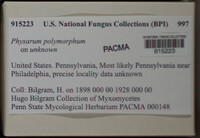 Image Associated With the Occurence